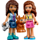LEGO Friends "Лесной водопад" 41677